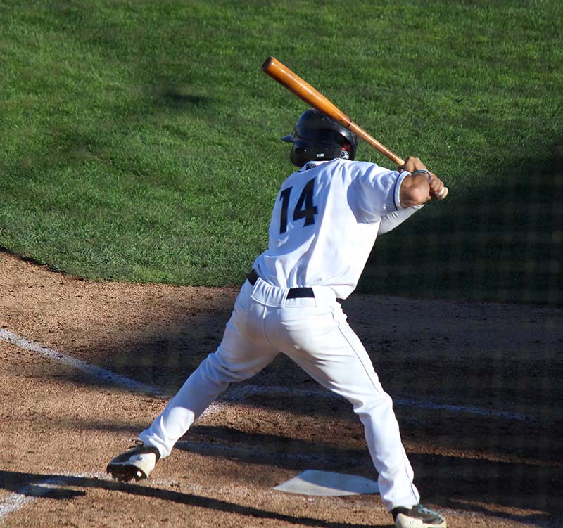 Adult-Wood-Baseball-Bats